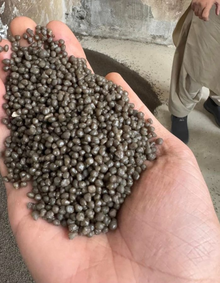 Diammonium Phosphate (DAP) High-Analysis Granular Fertilizer for sale – Buy Online